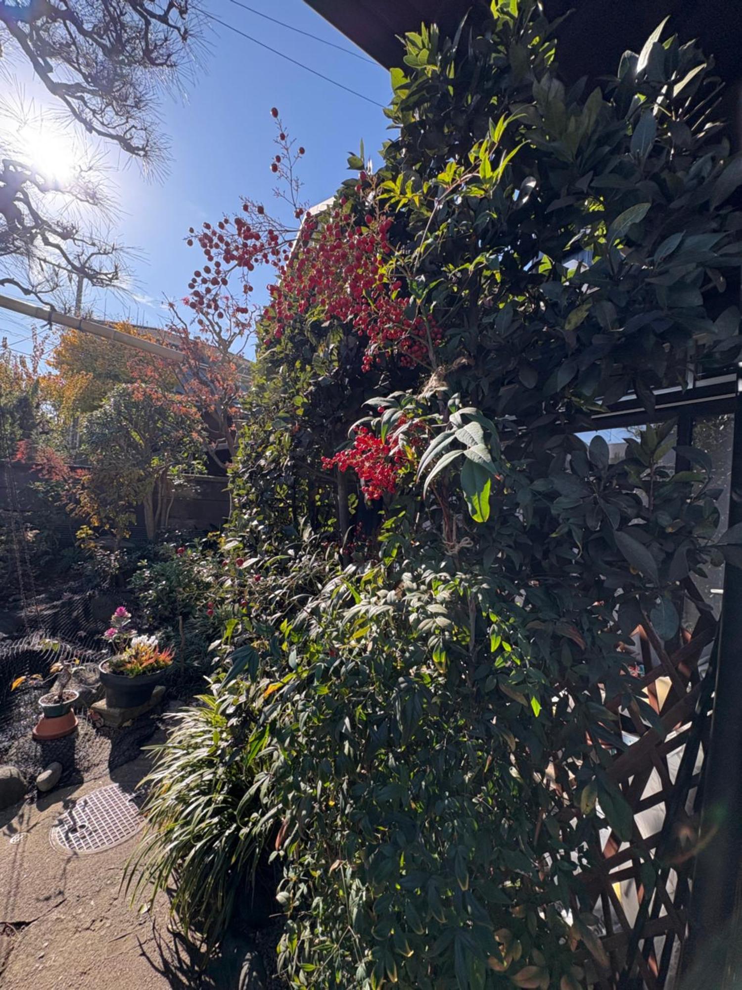 東京都 Kitazawa Cozy House酒店 外观 照片