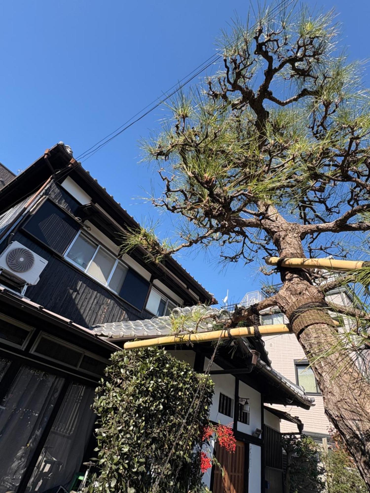 東京都 Kitazawa Cozy House酒店 外观 照片